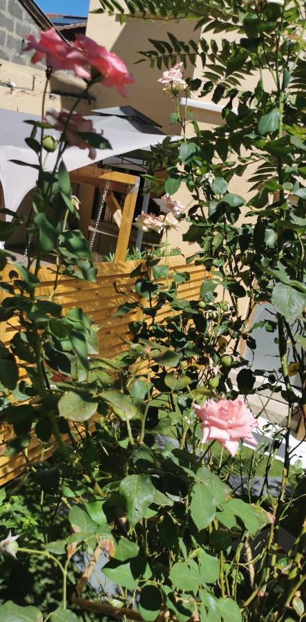 Appartement Le jardin d'eden à Villeurbanne Extérieur photo